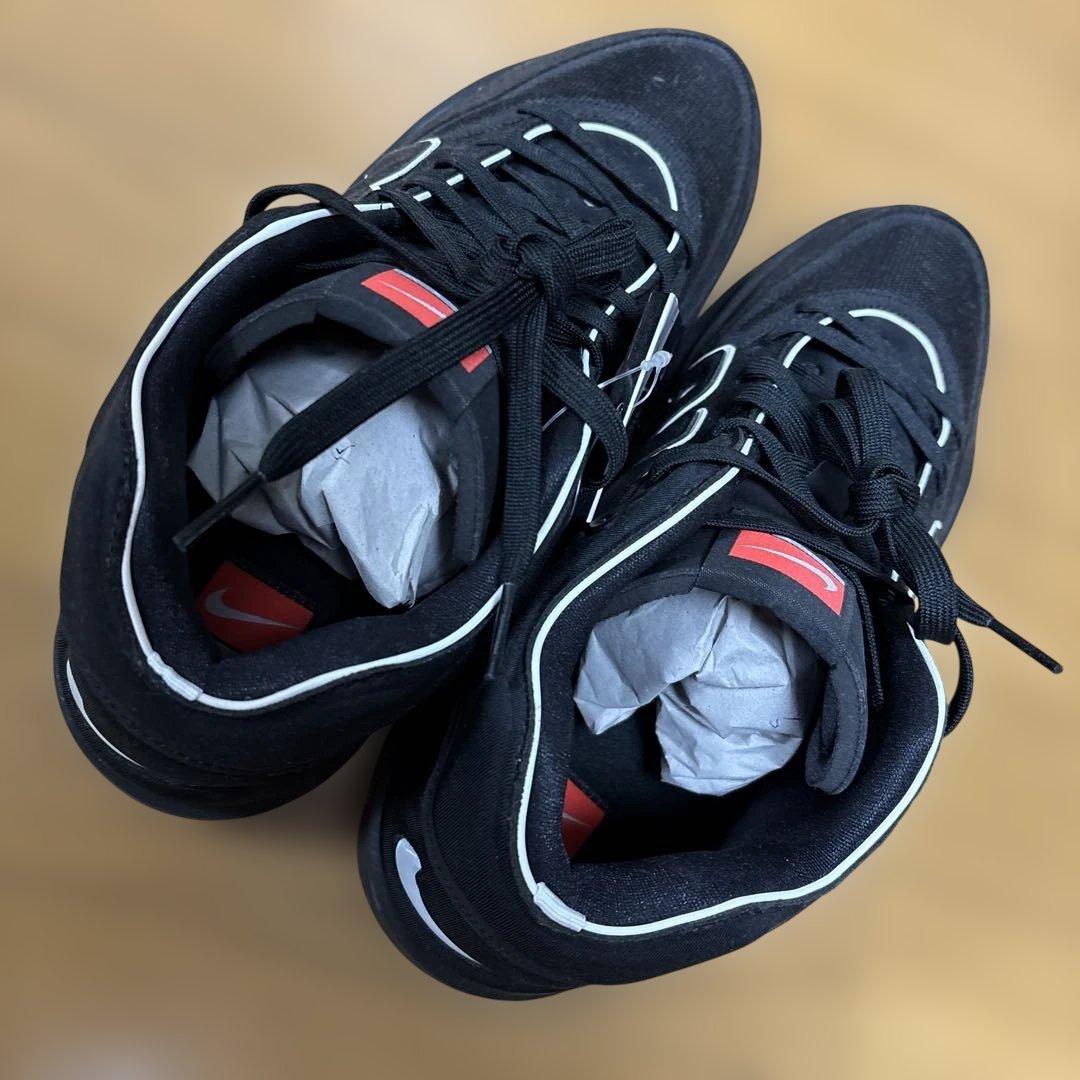 Nike gtハッスル2 黒　バスケットボール　30cm 箱あり