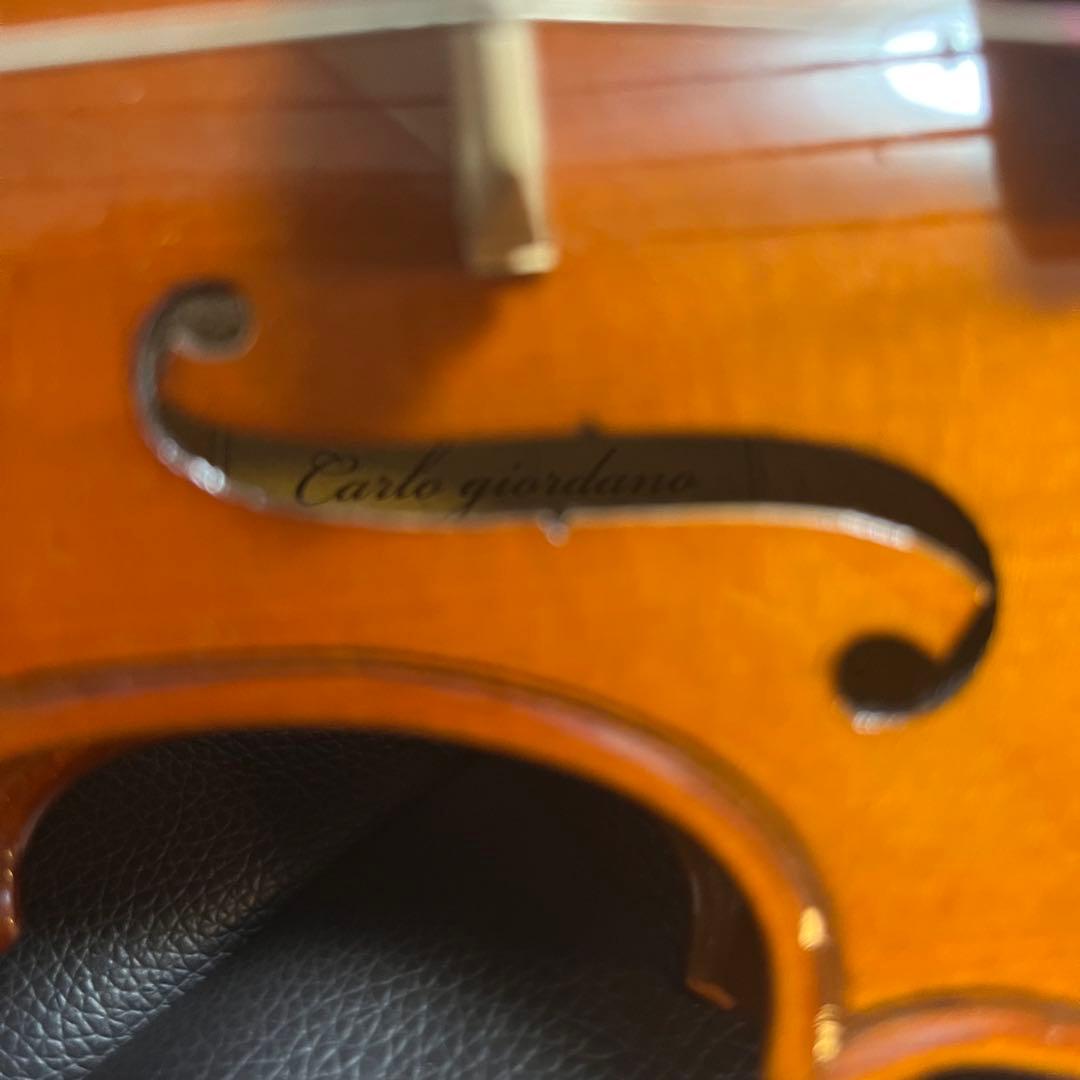 Carlo giordano カルロ・ジョルダーノ　VS-1 1/8