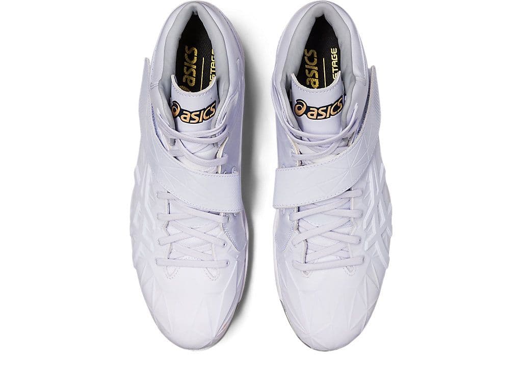 早い者勝ち新品 ASICS GOLDSTAGE I-PRO SETDO 29cm