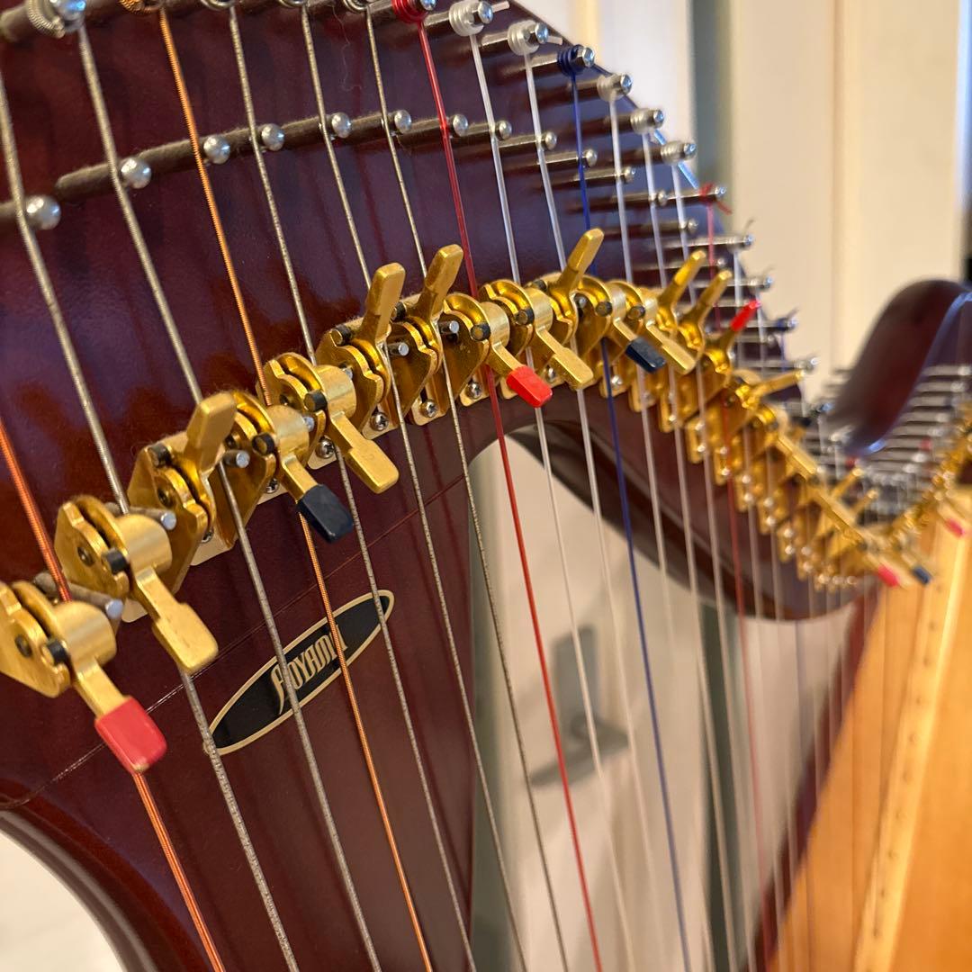 青山ハープ　130（DB）