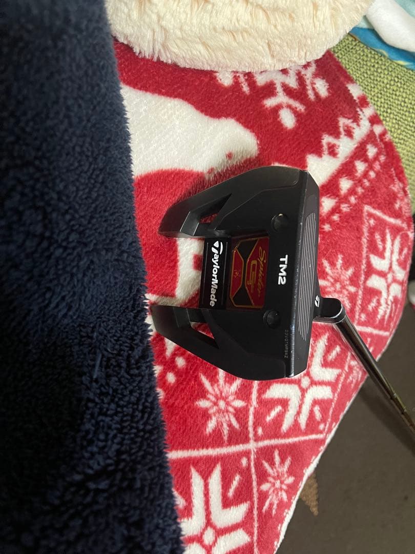 パター モデル：スパイダー GT ブラック T