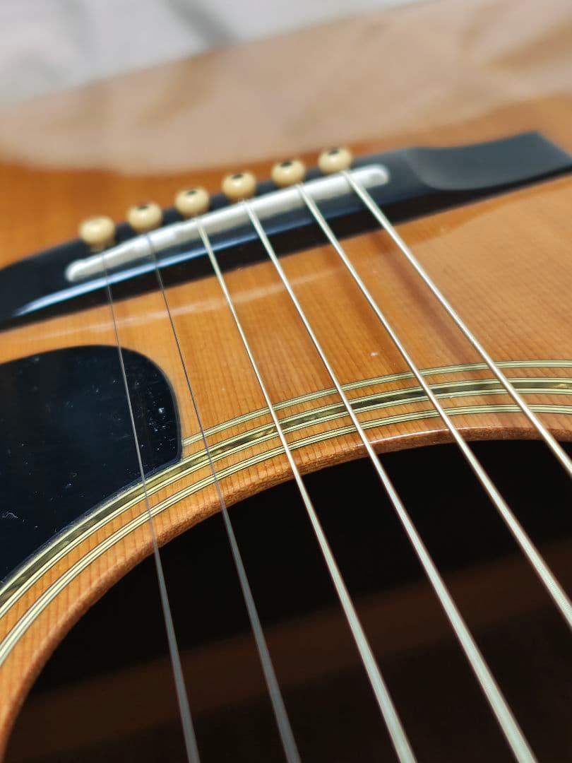 JAPANビンテージ/Vantage W-345/ギグケース付/美品