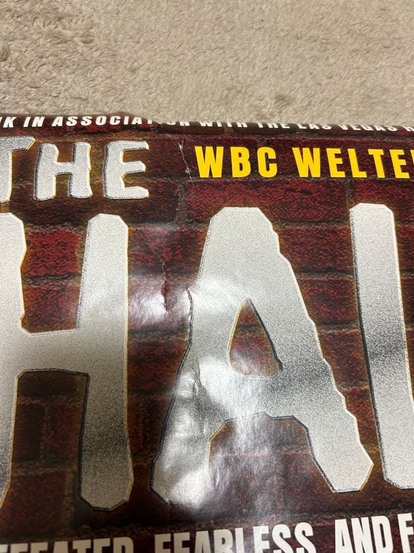 【未使用品】デラホーヤvsクォーティ　ボクシングポスター