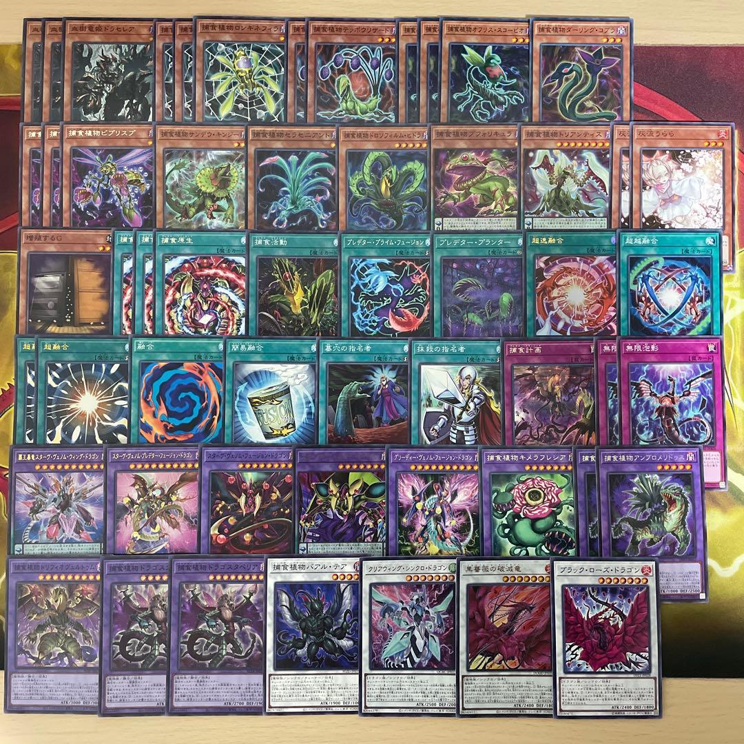 本格構築 捕食植物デッキ プレデタープランツデッキ 血樹竜姫ドラセリア