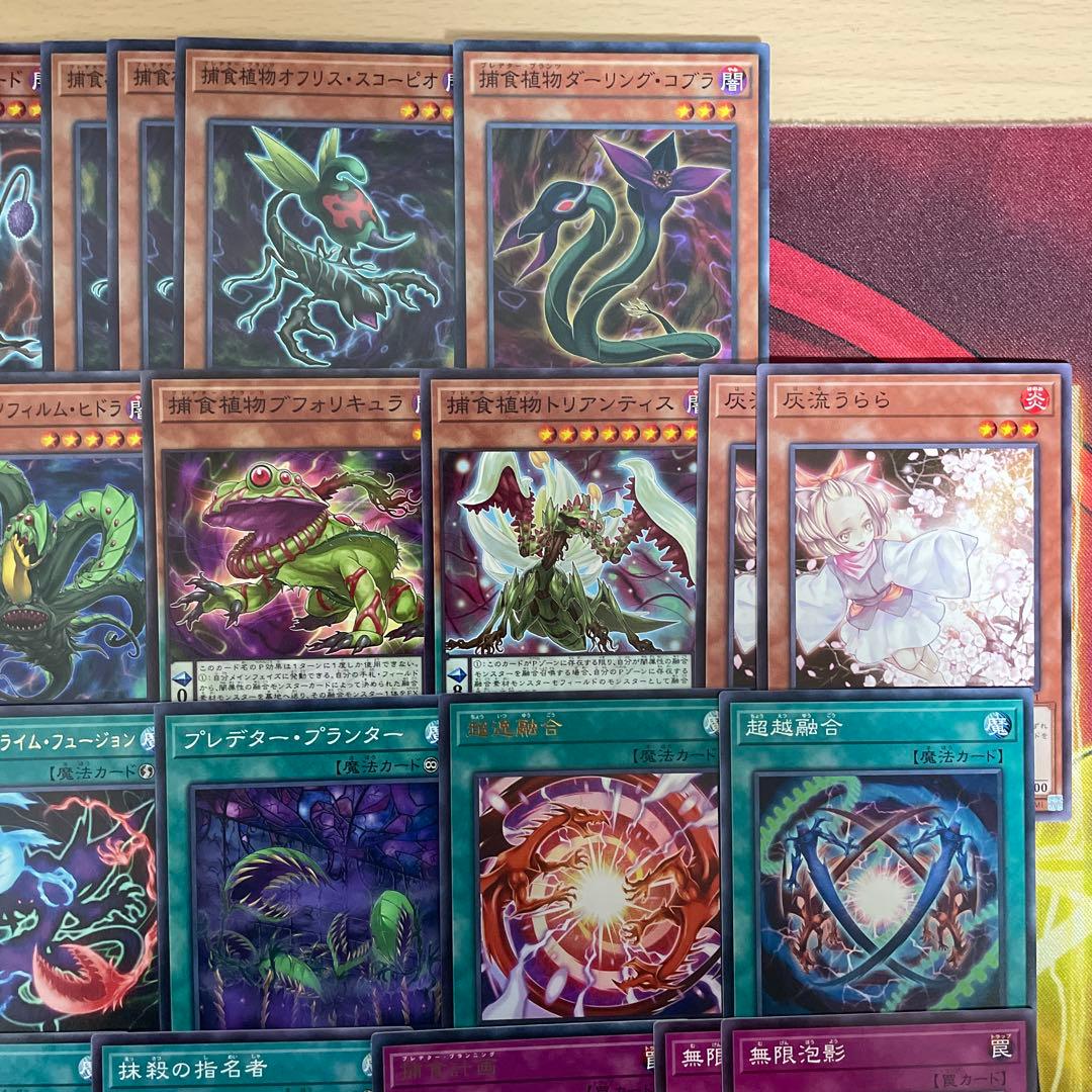 本格構築 捕食植物デッキ プレデタープランツデッキ 血樹竜姫ドラセリア