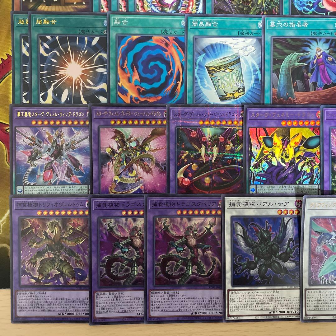 本格構築 捕食植物デッキ プレデタープランツデッキ 血樹竜姫ドラセリア