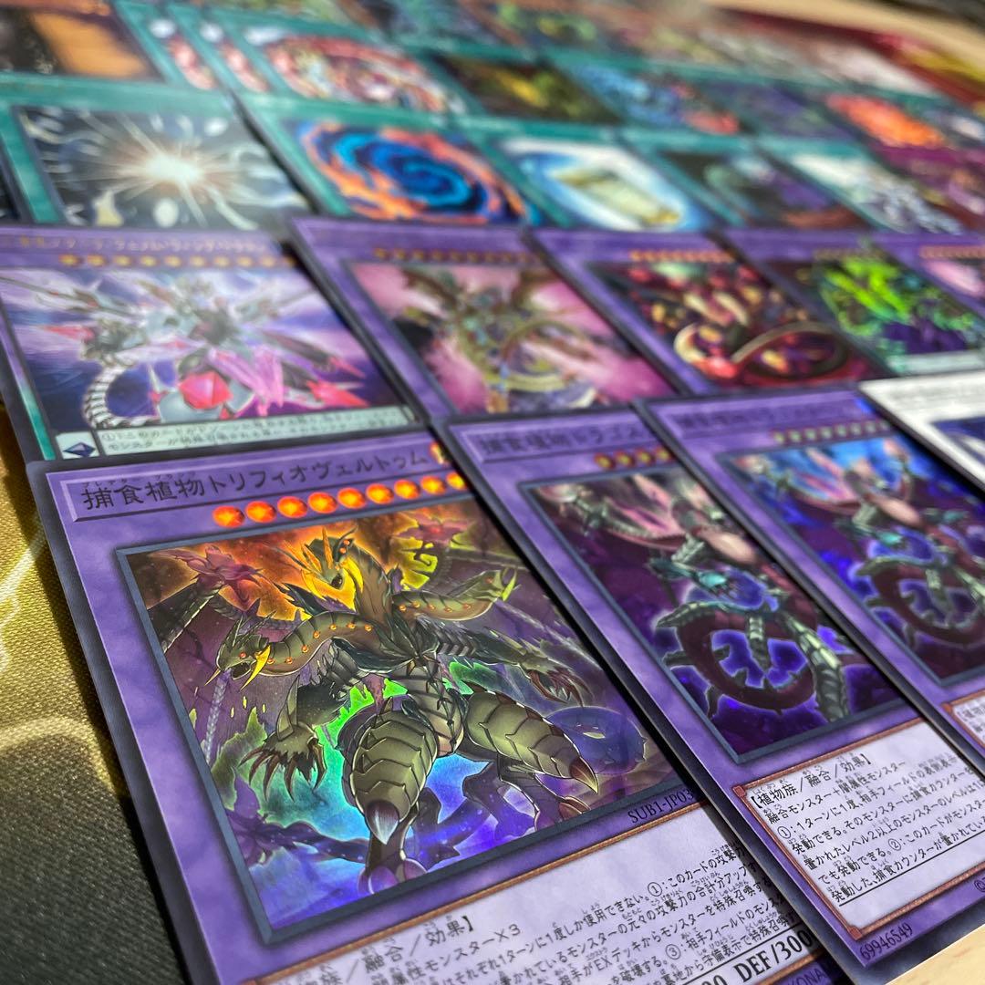 本格構築 捕食植物デッキ プレデタープランツデッキ 血樹竜姫ドラセリア