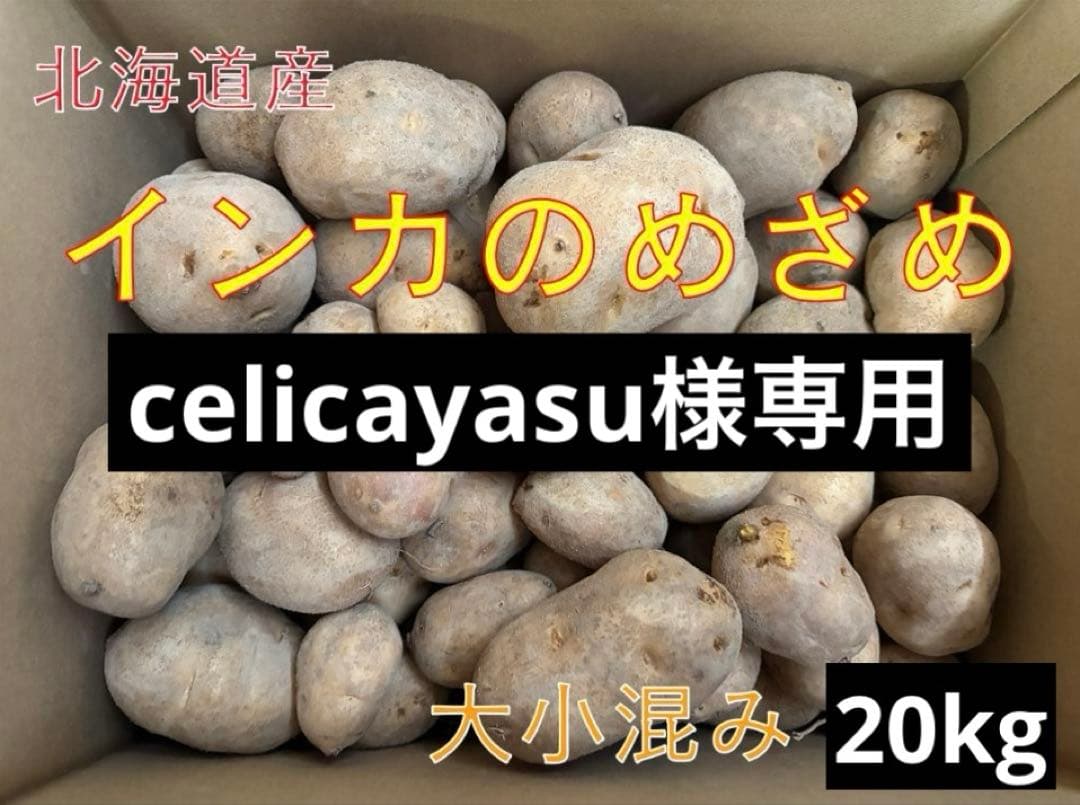 【celicayasu】北海道産インカのめざめ　大小混み20kg