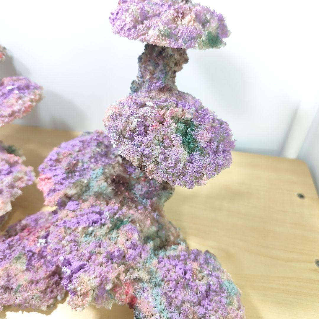 新品アク抜き不要 分離型人工ライブロック 60cm海水水槽用 レプリカ 多孔質1