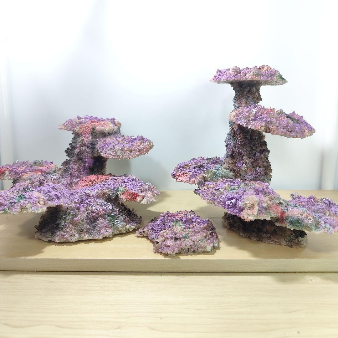 新品アク抜き不要 分離型人工ライブロック 60cm海水水槽用 レプリカ 多孔質1