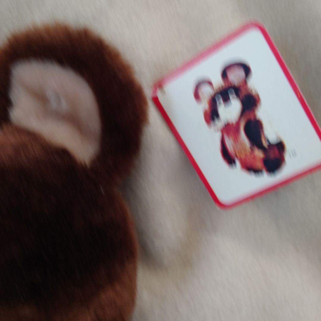 こぐまのミーシャ ぬいぐるみ