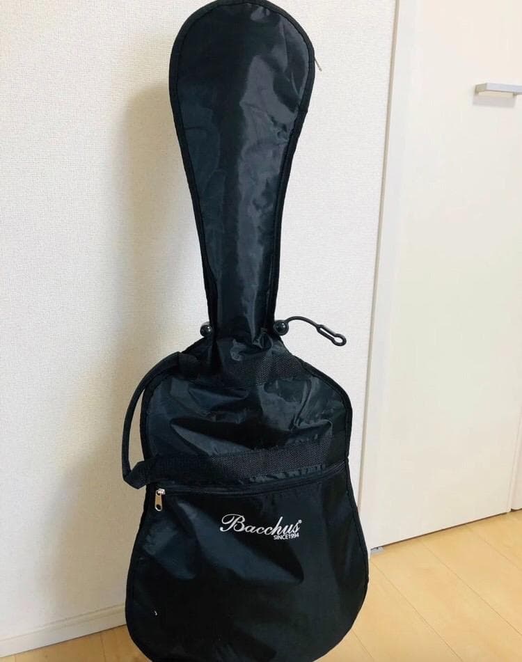 Bacchus BST-1R 3TS ストラトタイプ サンバースト ソフトケース