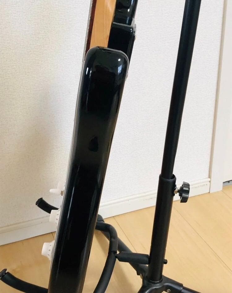 Bacchus BST-1R 3TS ストラトタイプ サンバースト ソフトケース