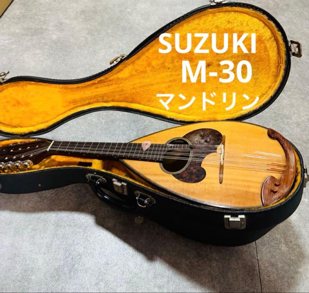 マンドリン SUZUKI M-30 弦楽器 ハードケース付き