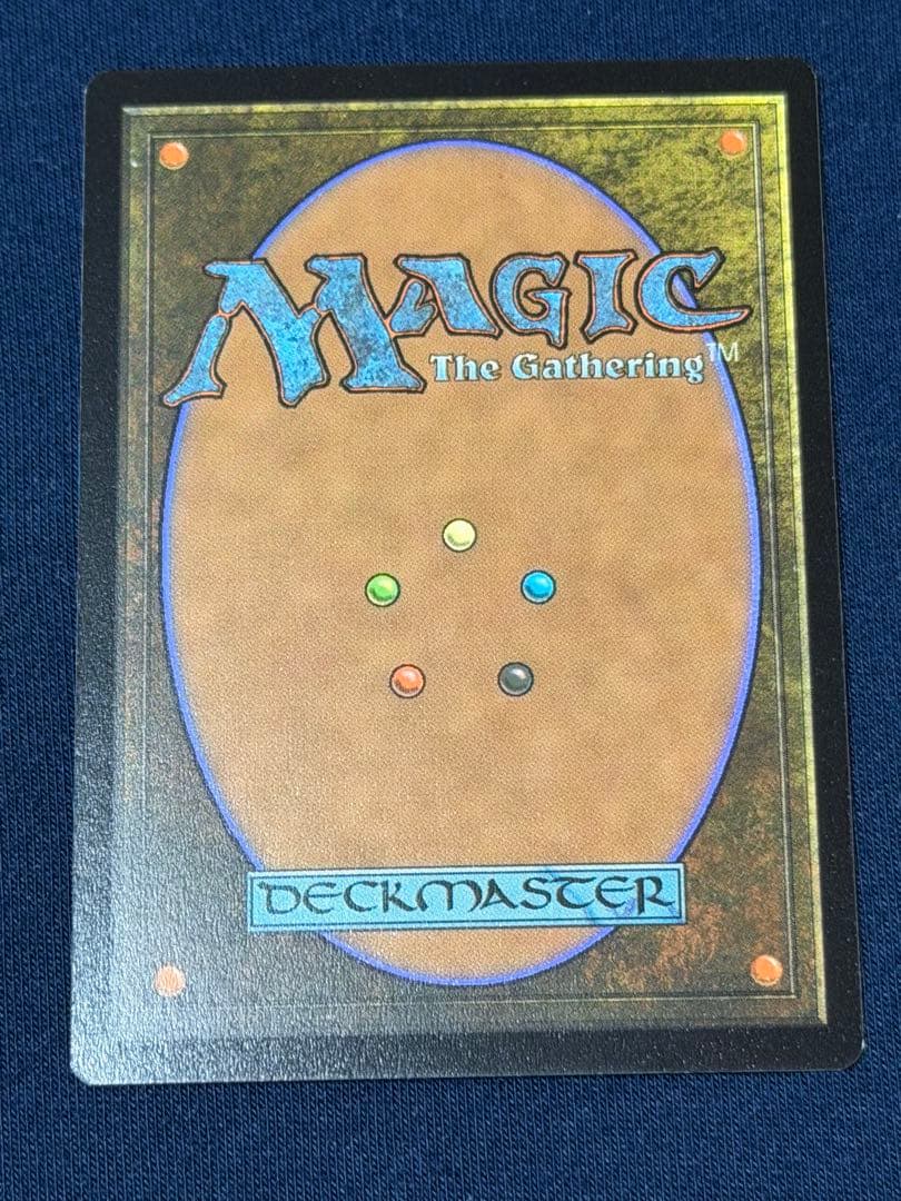 ヨウジンボウ　孤独　SLD