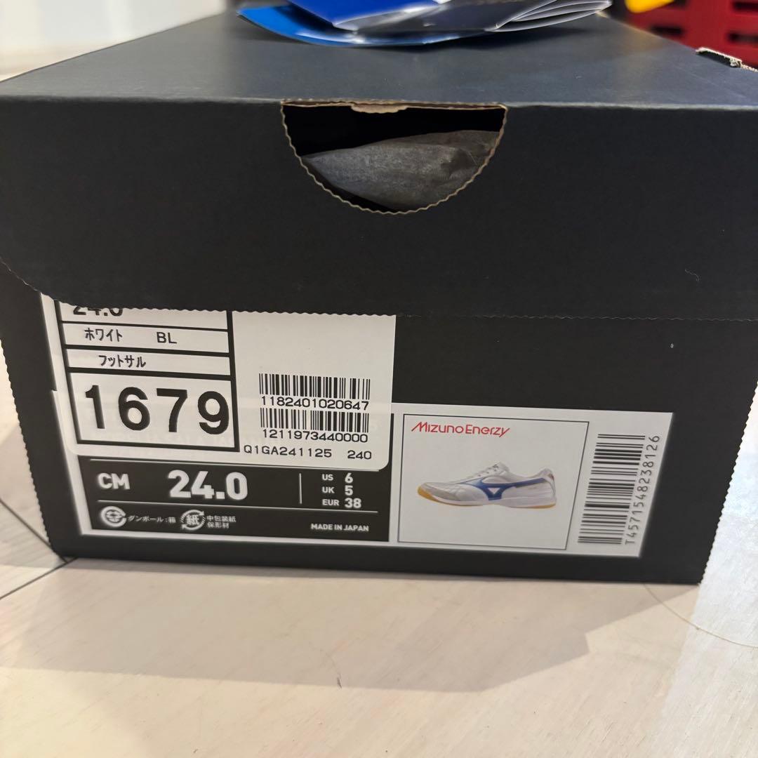 美品24㎝モレリアSALA JAPAN IN 室内