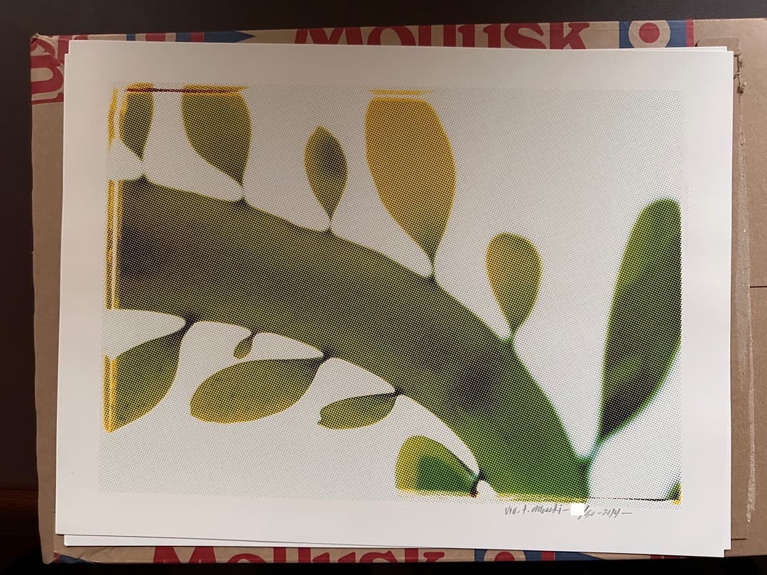 トーマス キャンベル プリント　サイン入り