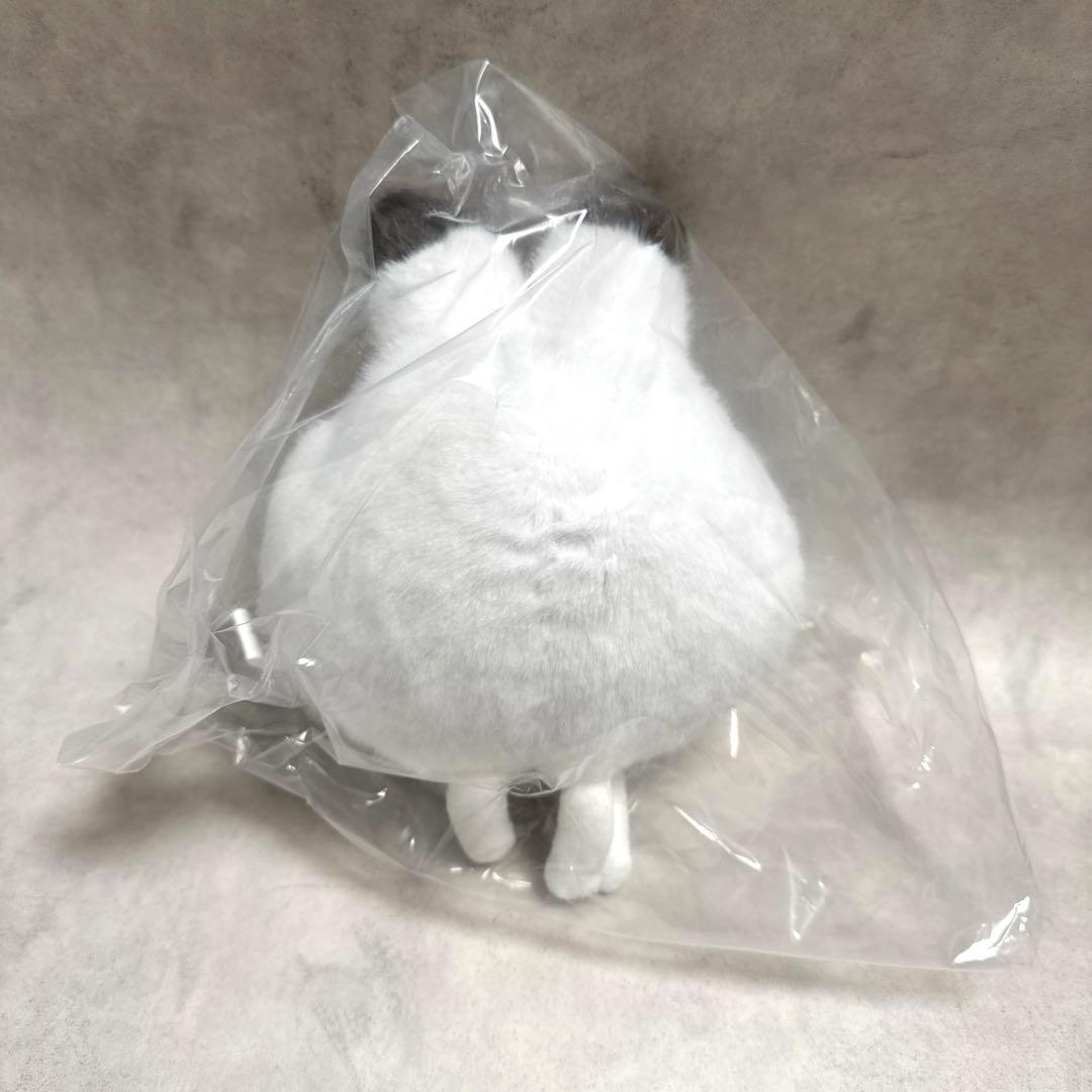 恋と深空 2024年VIPギフトボックス 日本語版 セイヤ ＋ クリア団扇