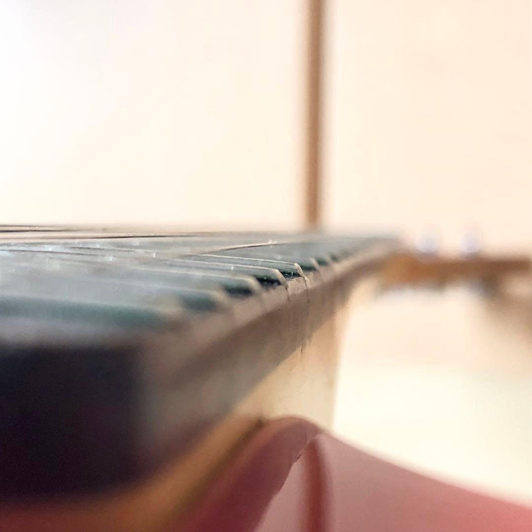 FERNANDES Zo-3 レッド 専用ソフトケース付