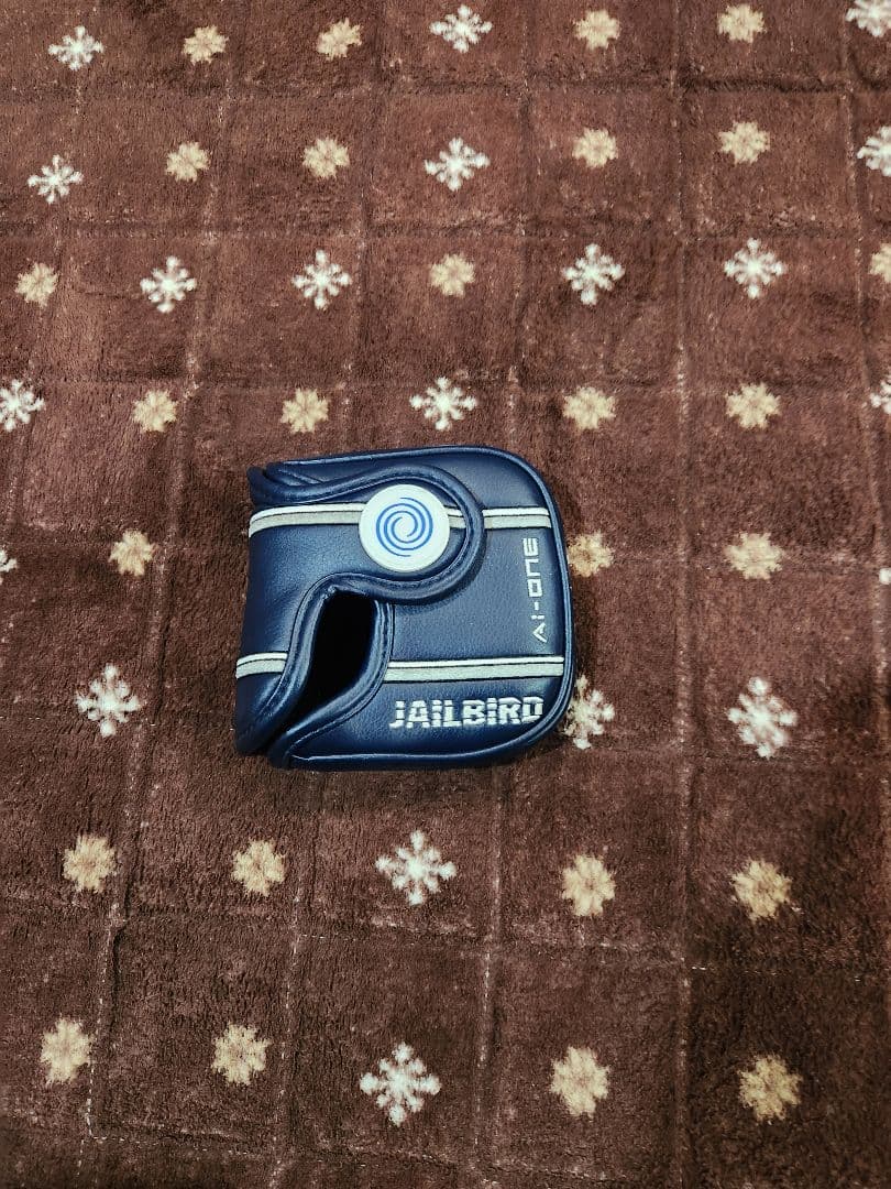 AI-ONE Square 2 Square Jailbird 34インチ