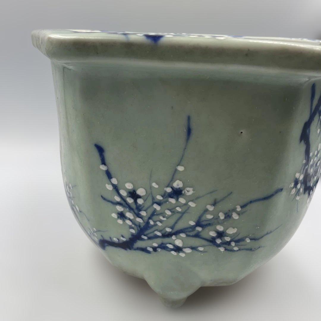 瀬戸 梅文 青磁 植木鉢 盆栽鉢 梅鉢 時代物　❷個セット