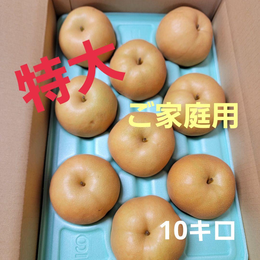 南水 ご家庭用 特大10キロ