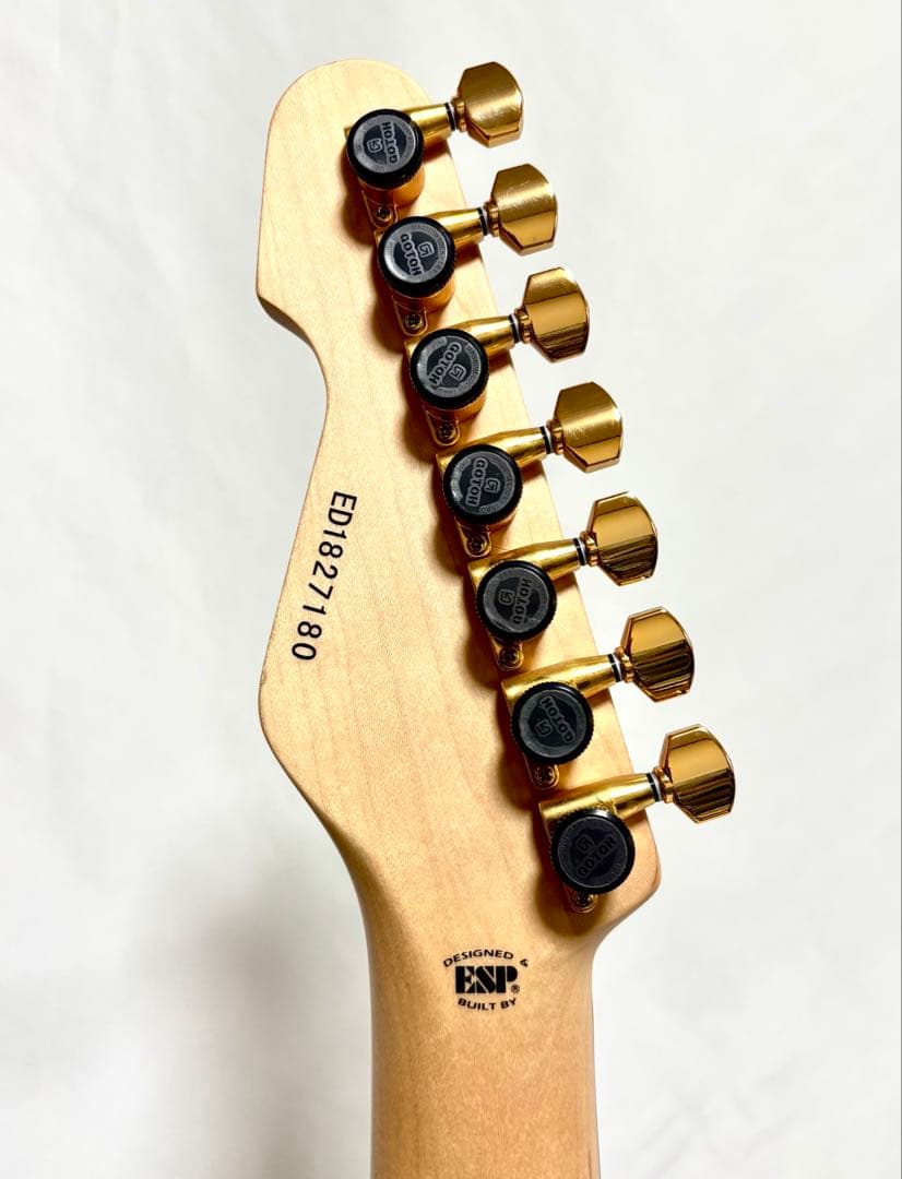 【美品、新品弦張替済】Edwards エレキギター E-SN7-210TO 7弦