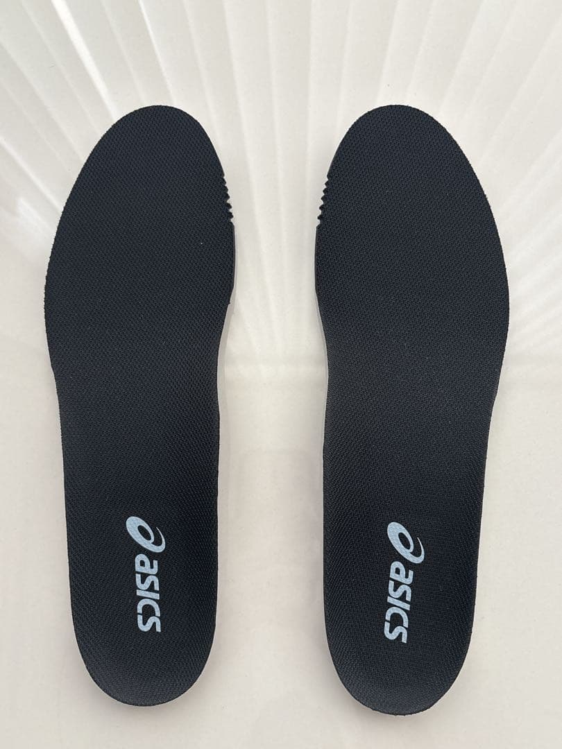 ASICS /スカイエリートFF MT3 /ホワイト/ドルフィングレー28㎝