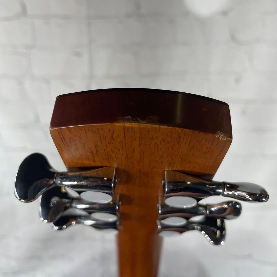 aNueNue BIRD M52 アコースティックギター