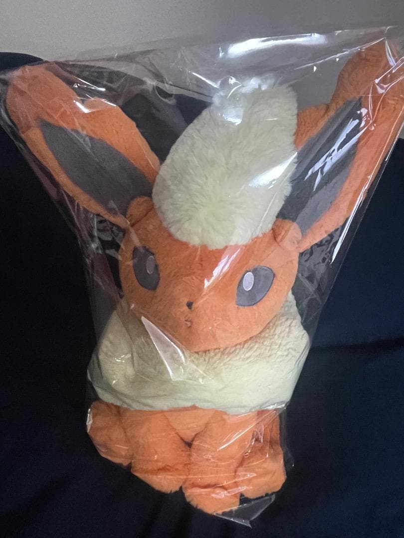 ポケモンセンターオリジナル ふわふわ抱きぬいぐるみ ブースター