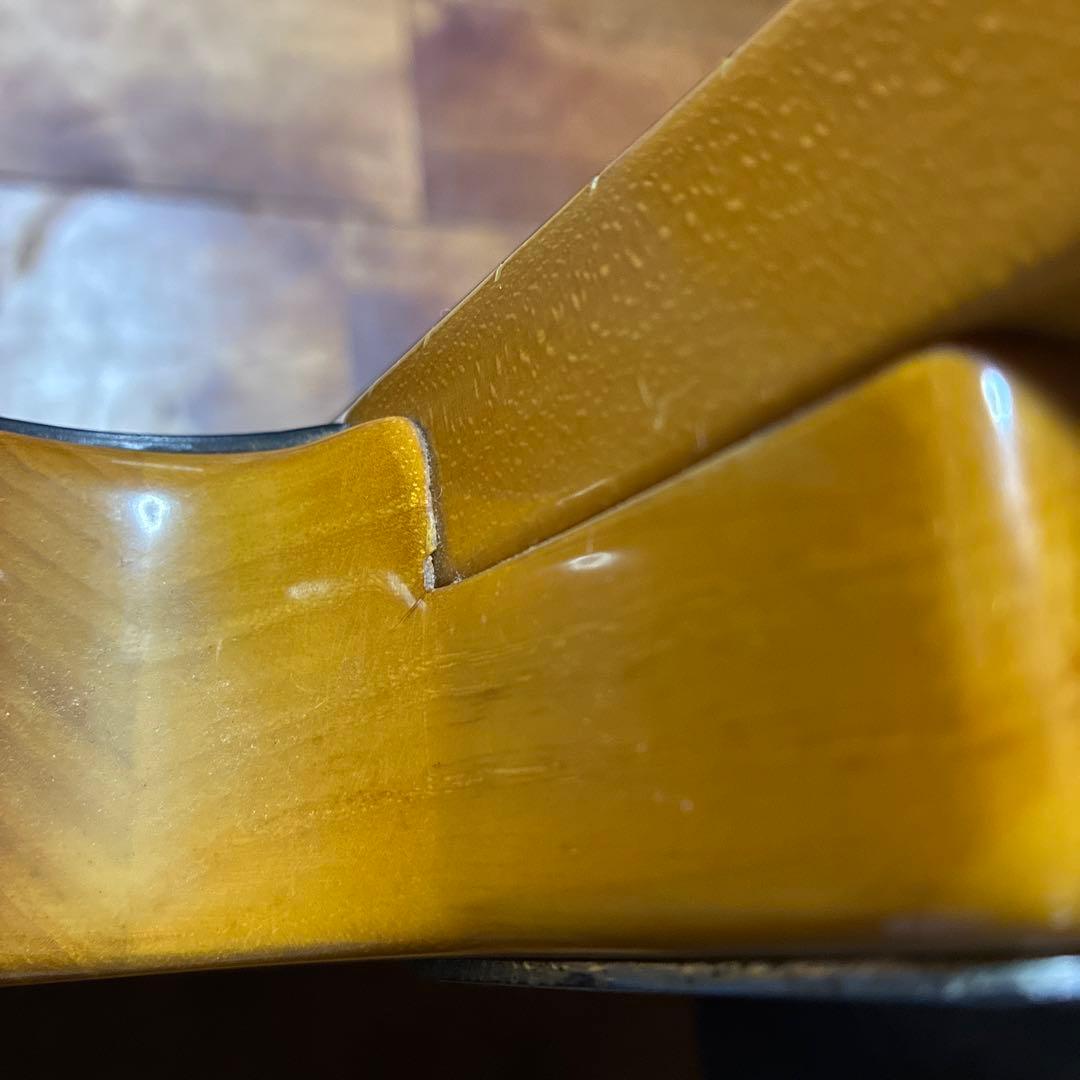 Fender Telecaster フェンダー テレキャスター ソフトケース有