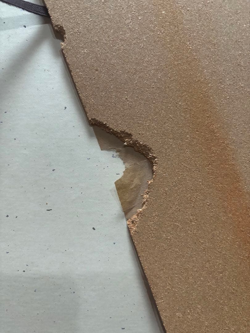 坂本繁二郎　水墨画　馬　額入り