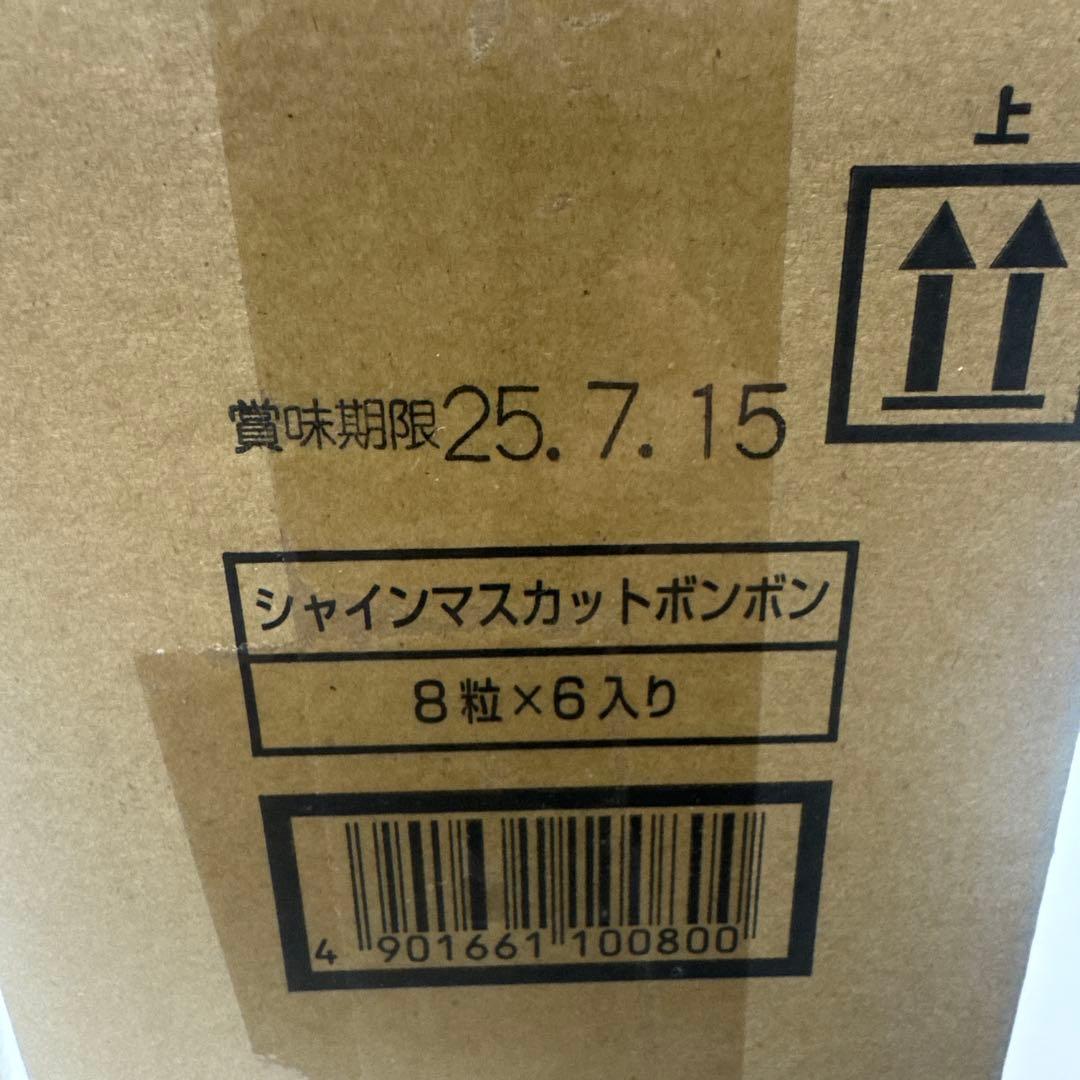 シャインマスカットボンボン　6個セット