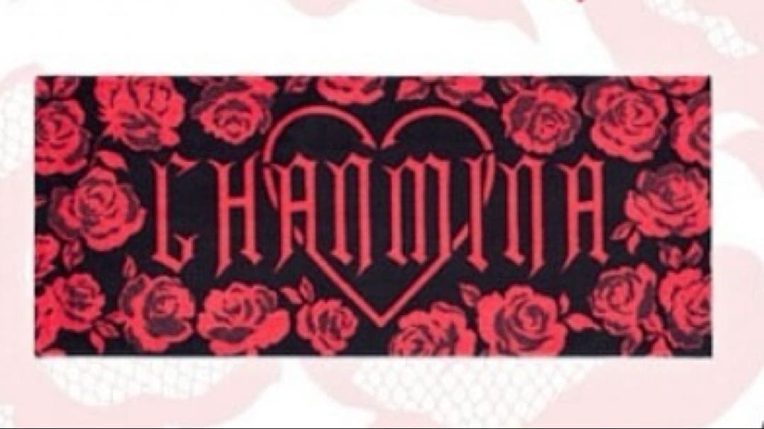 【新品未使用未開封】ちゃんみなタオル