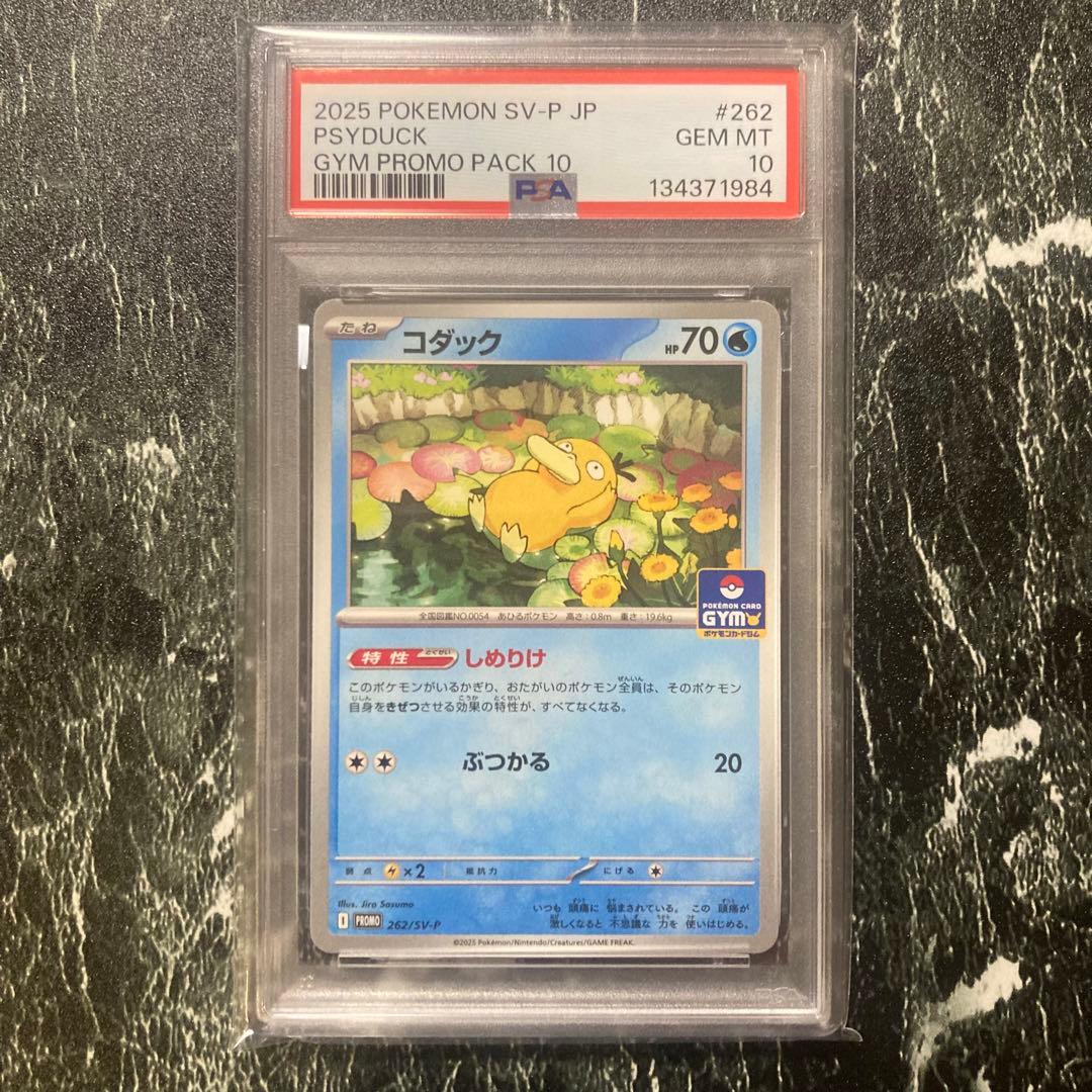 PSA10 コダック　しめりけ　262/SV-P ジムプロモ　3枚セット