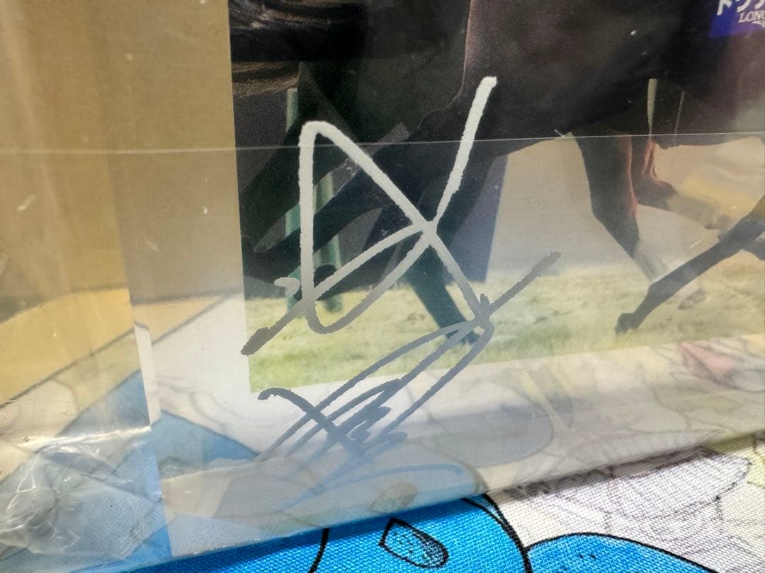 ドウデュース 特製アクリルオブジェ　2024ジャパンカップ