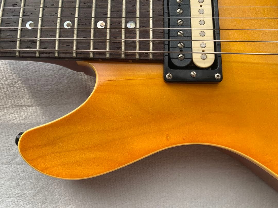 ESP POTBELLY CUSTOM ORDER （専用ESPハードケース付）