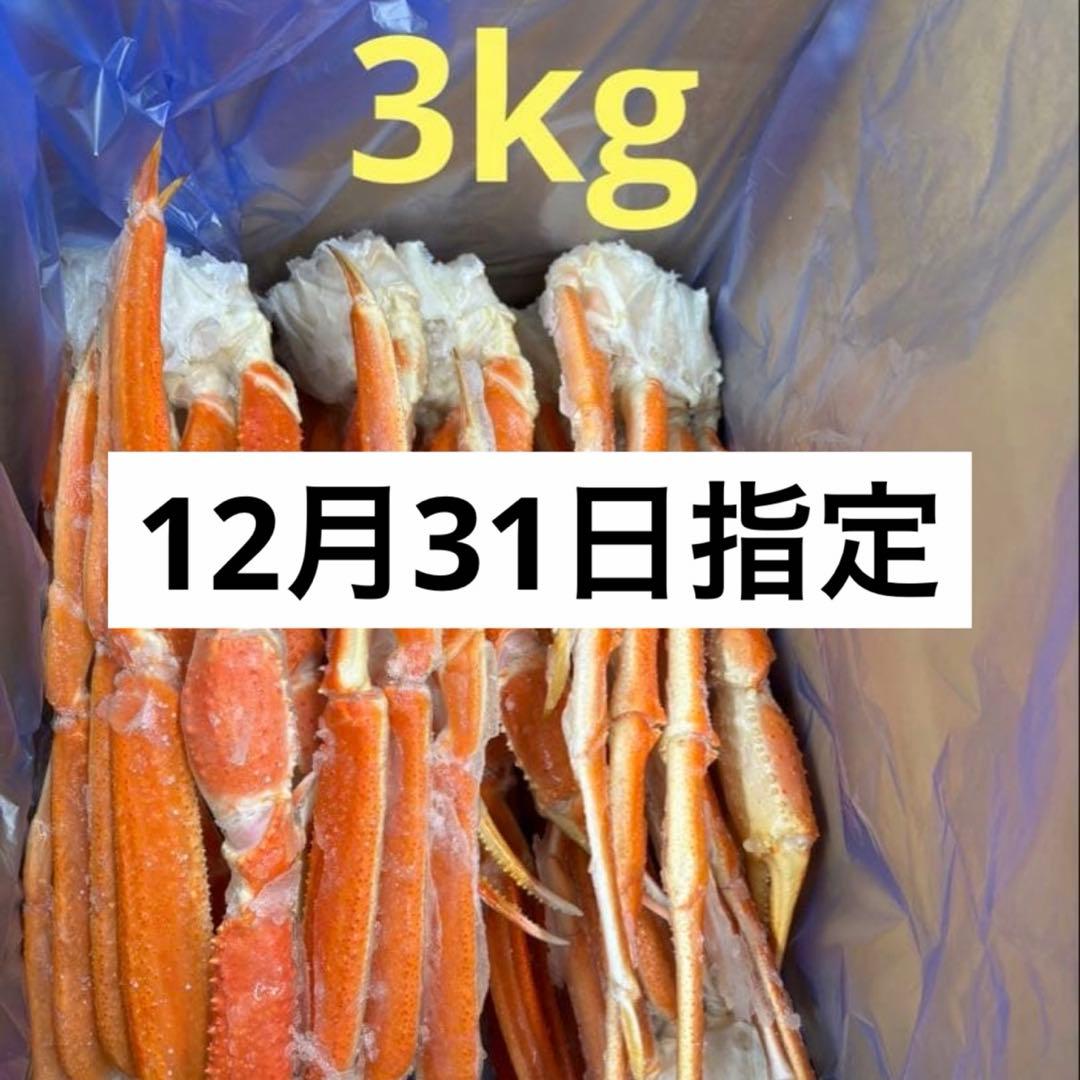 【12/27日午前中】Seika　3キロ