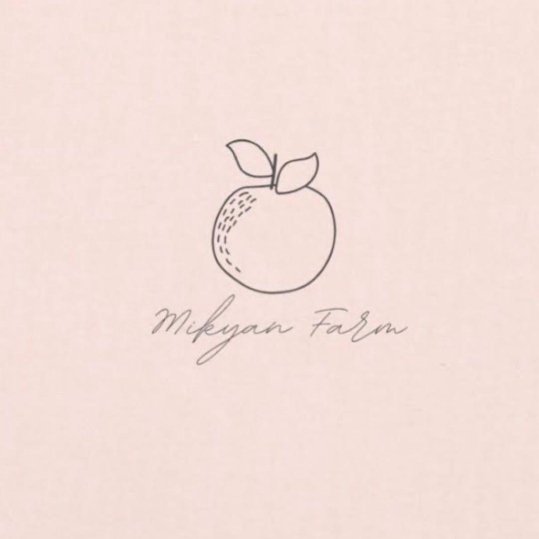 木選別　ベビーみきゃん8キロ　2箱セット