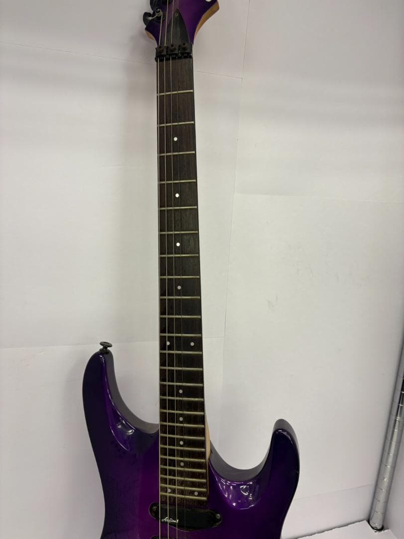 A*読様 【中古】 Aria Pro Ⅱ MAGNA series パープル　弦