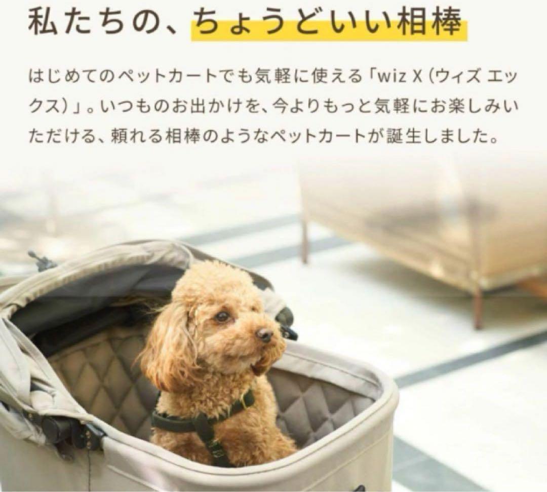 AIR BUGGY WIZ X新品未使用品