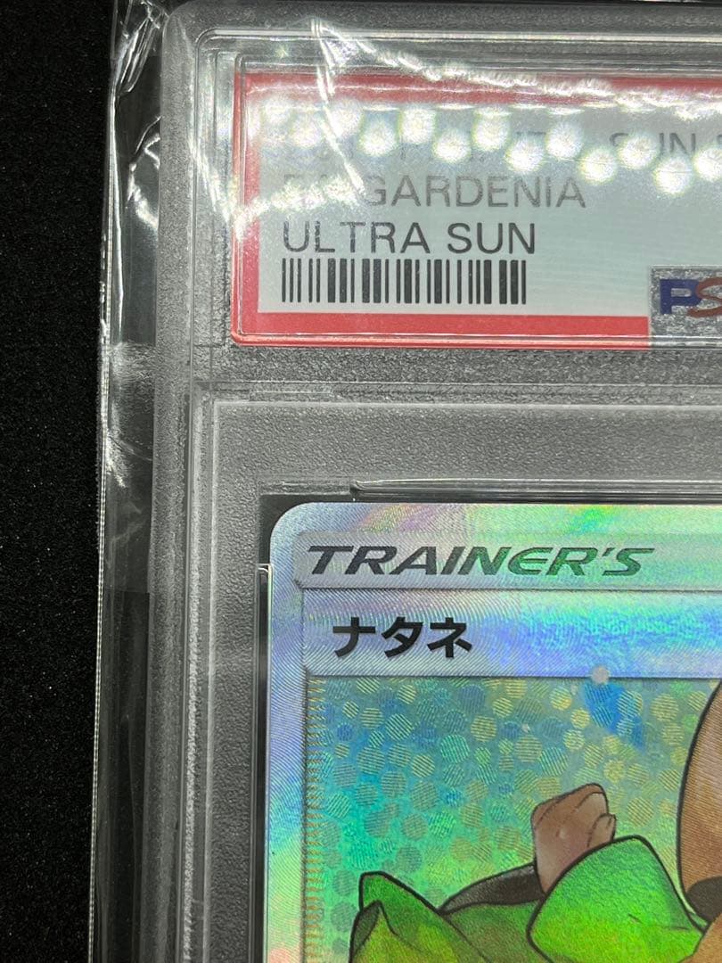 ナタネ　SR　PSA10