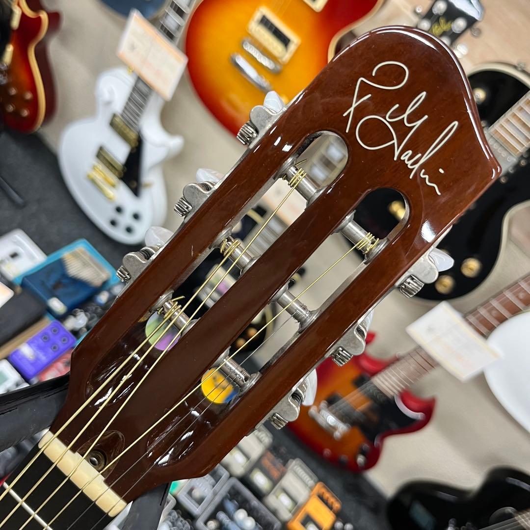 【11134】Godin Multiac Steel Duet Ambiance