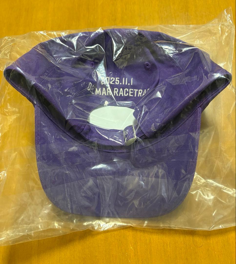 ごんフォーエバーヤング非売品キャップ チポストカード付き