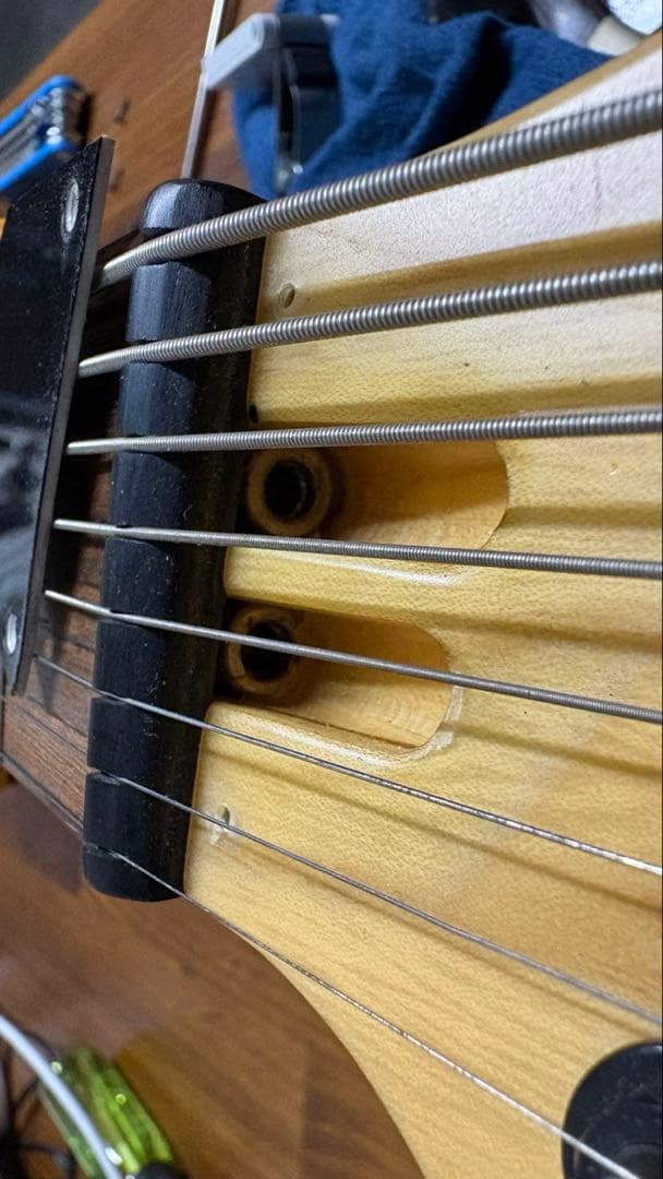 8弦ギター Agile ベアナックル&ディマジオSeptor 多弦