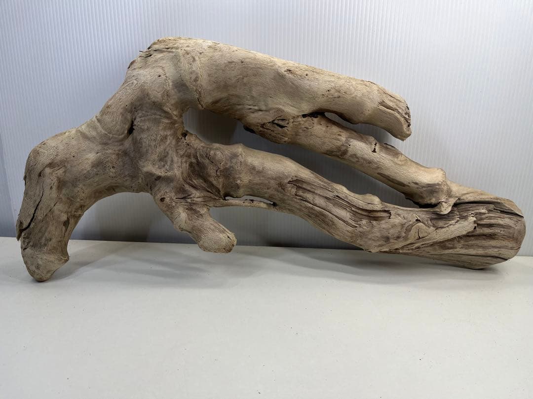 k6大型流木 アク抜き済み 爬虫類シェルター レイアウト用 登り木 インテリア