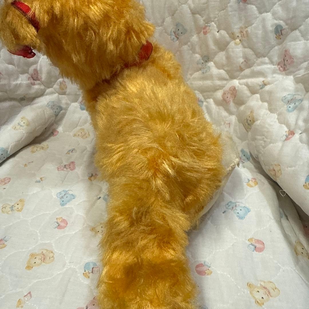 アメリカ購入ラバーフェイスワンちゃん