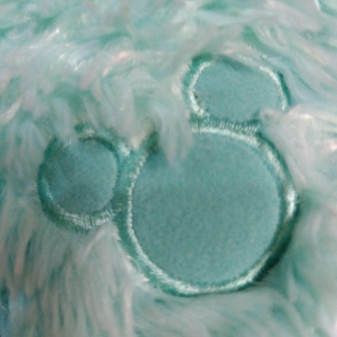 WDW ミント　ダッフィー　☆希少☆