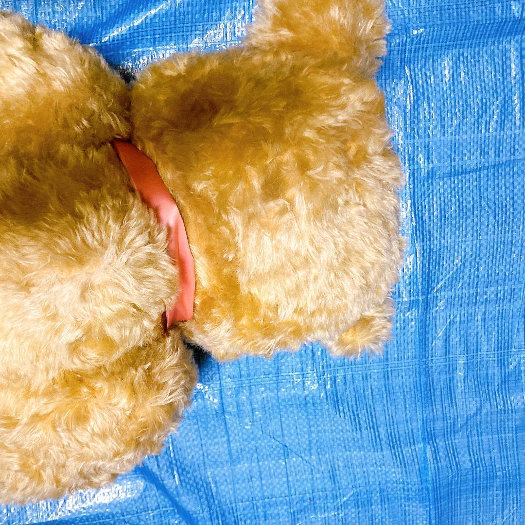 シュタイフ Jackie 1953年 レプリカ 75cm　|3421|☆