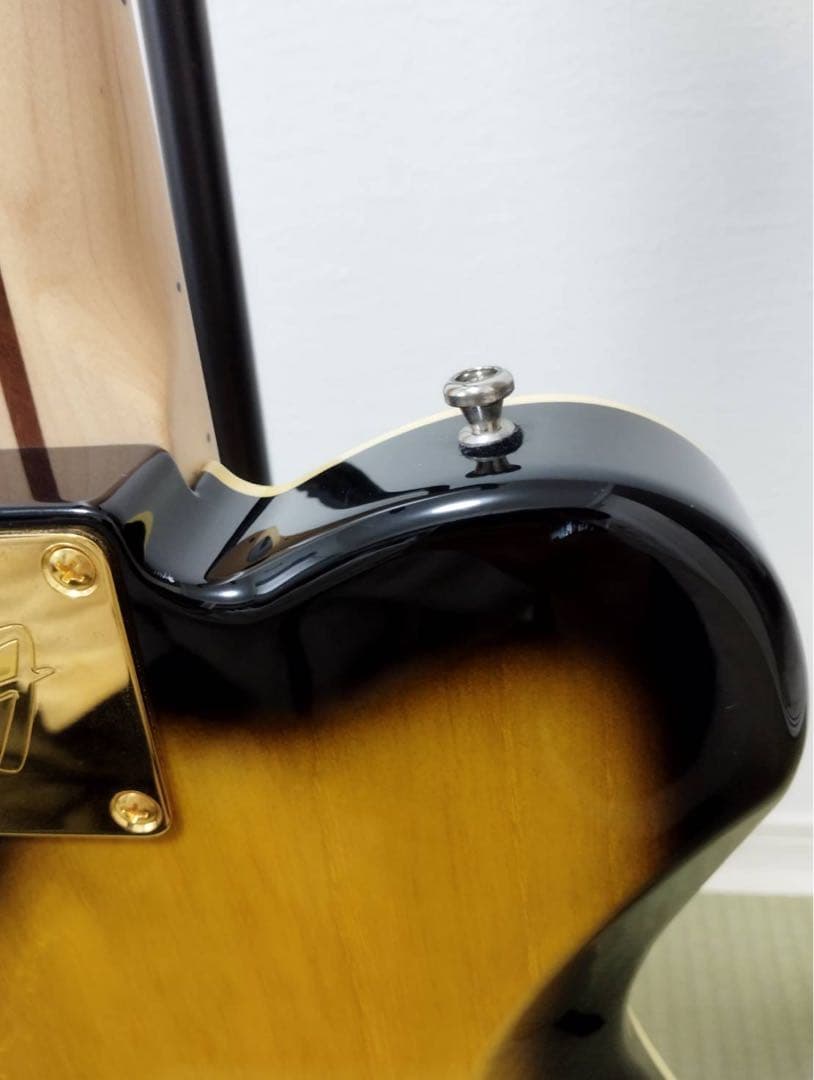 ベッツFender Ritchie Kotzen Telecaster